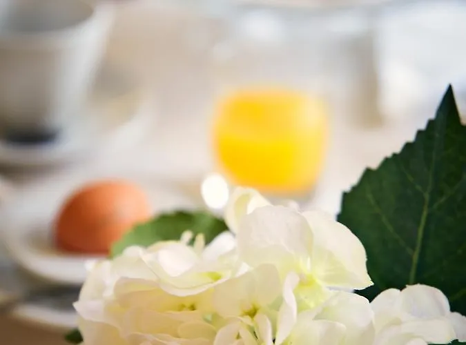 ロベルタ 3* メストレ