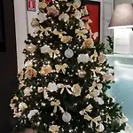酒店 罗伯塔酒店 3*